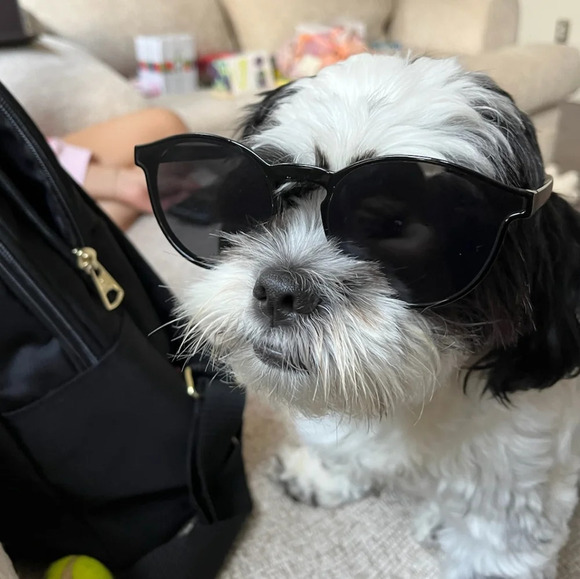 Live Show Listing - Picture 1 of 1